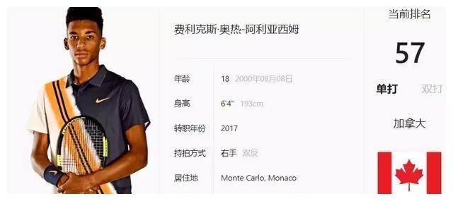 切尔西与纽 切尔西与纽