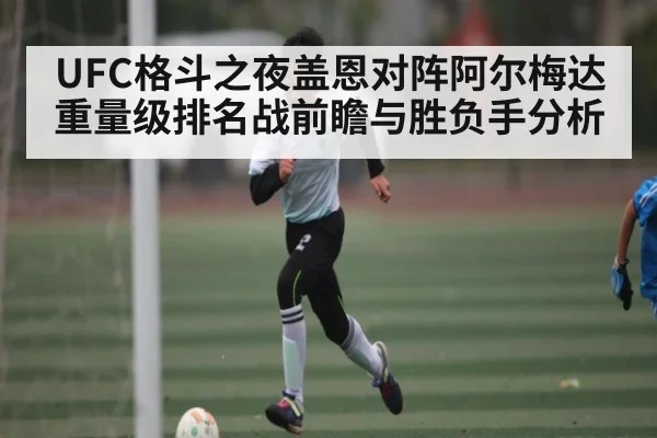 UFC格斗之夜盖恩对阵阿尔梅达重量级排名战前瞻与胜负手分析